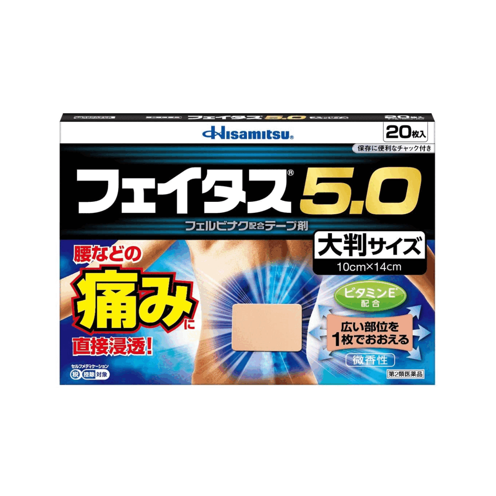 페이타스 5.0 대형 (20매)