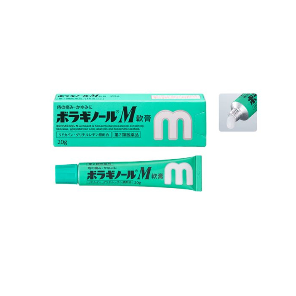 보라기놀M 치질연고 20g
